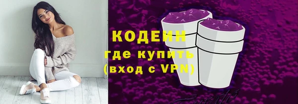 индика Няндома