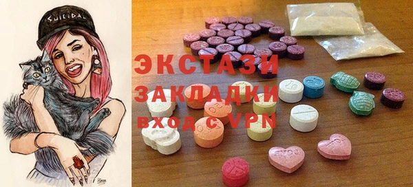 индика Няндома