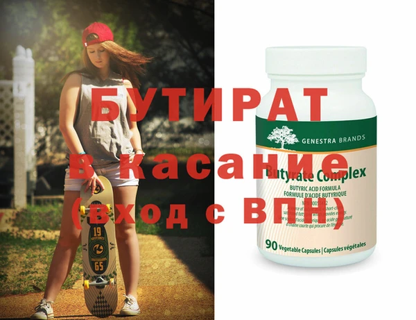 индика Няндома