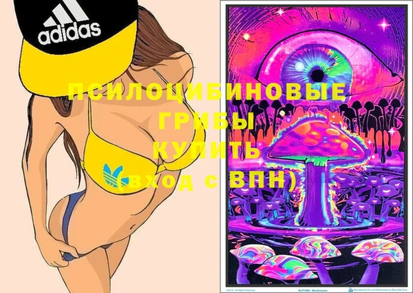 дмт Щучье