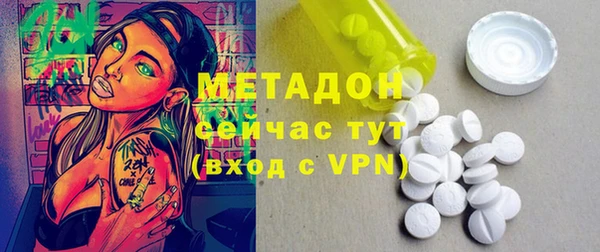 индика Няндома