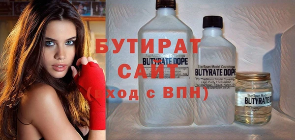 индика Няндома