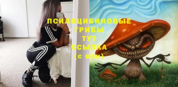 MESCALINE Осинники