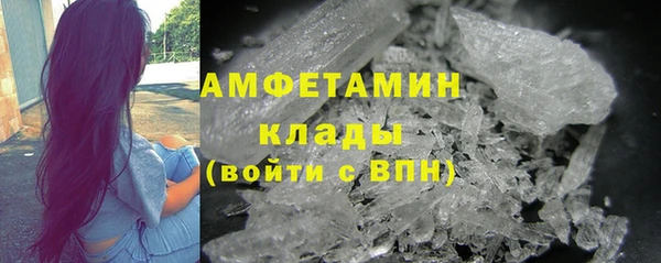 индика Няндома