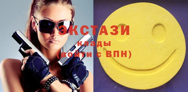 индика Няндома