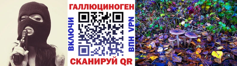 Псилоцибиновые грибы GOLDEN TEACHER  что такое   Бежецк 